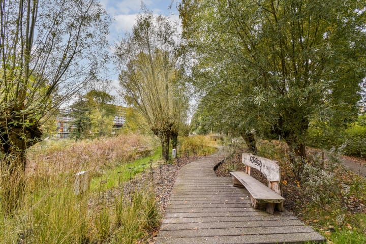 Foto 18 van Notenoord 37