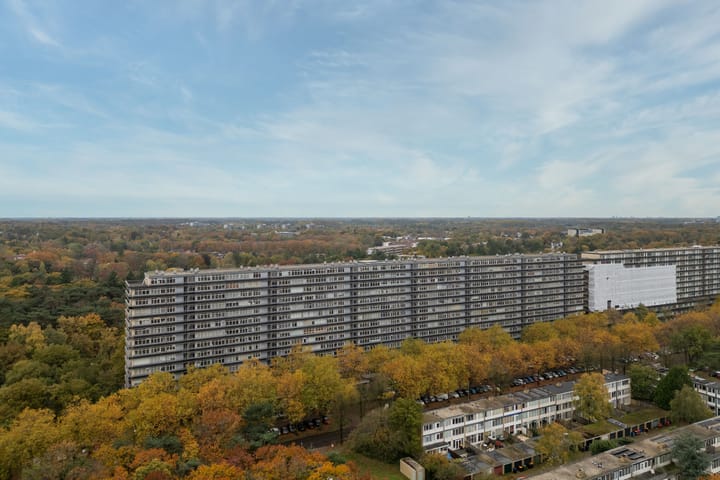 Foto 2 van Laan van Vollenhove 2567