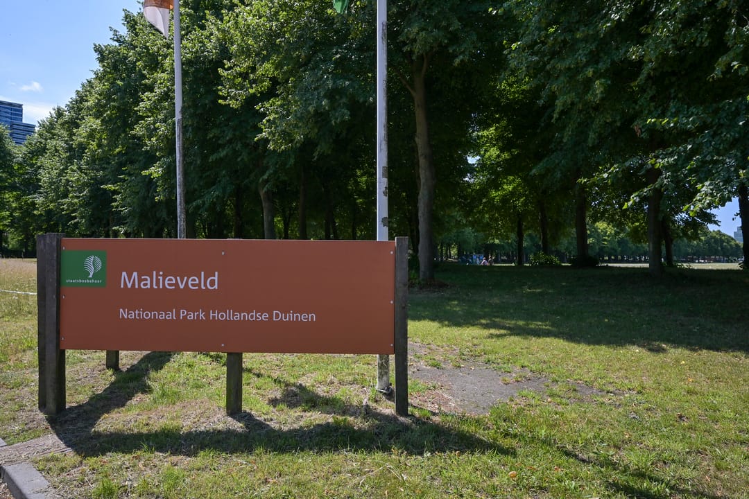 Photo 41 of Weissenbruchstraat 23