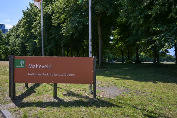 Photo 41 of Weissenbruchstraat 23