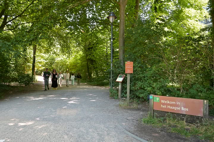 Photo 46 of Weissenbruchstraat 23