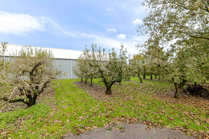 Photo 10 of Lekerweg 28