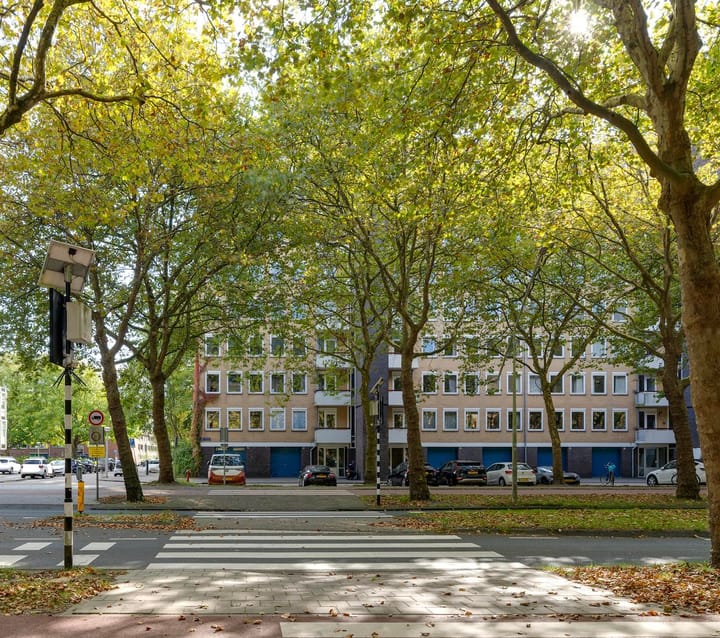 Foto 5 van Van Nijenrodeweg 456