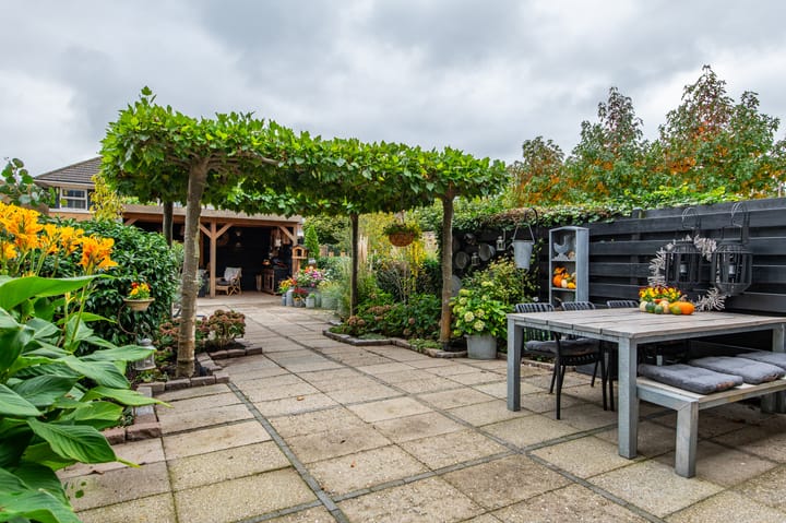 Photo 21 of Dopheidestraat 48