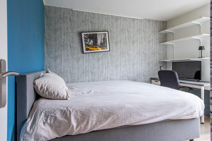 Photo 29 of Dopheidestraat 48