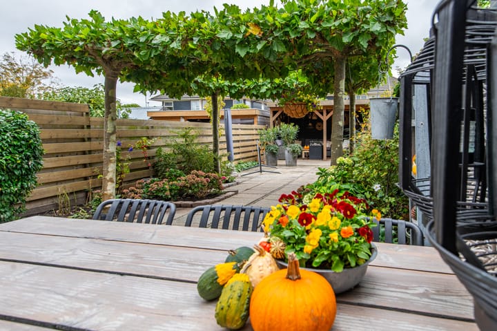 Photo 20 of Dopheidestraat 48