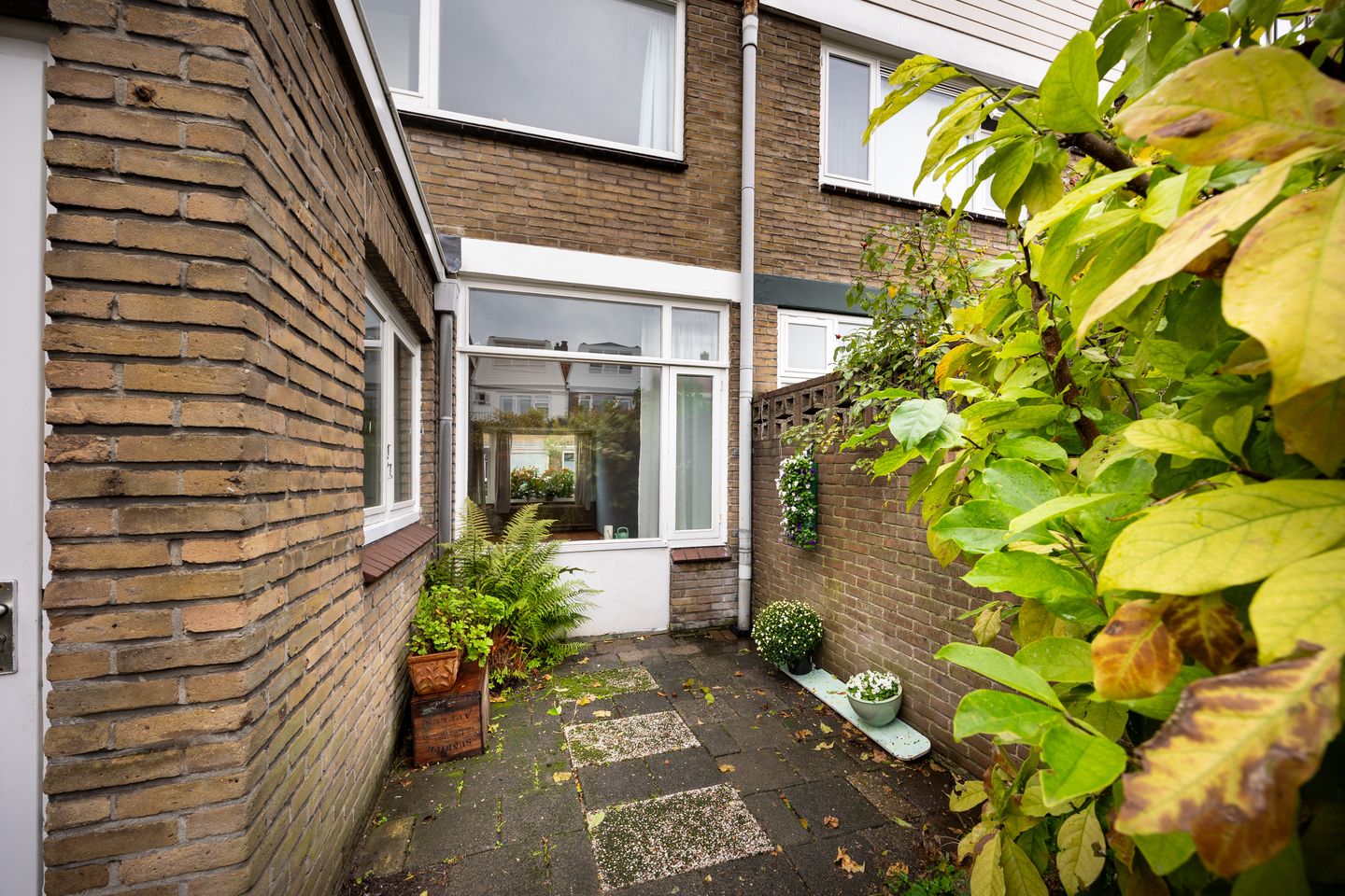 Foto 20 van Cosijnstraat 6