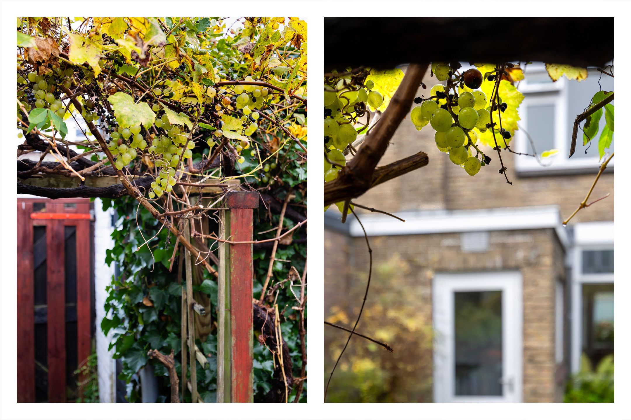 Foto 21 van Cosijnstraat 6