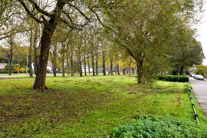 Foto 23 van Cosijnstraat 6