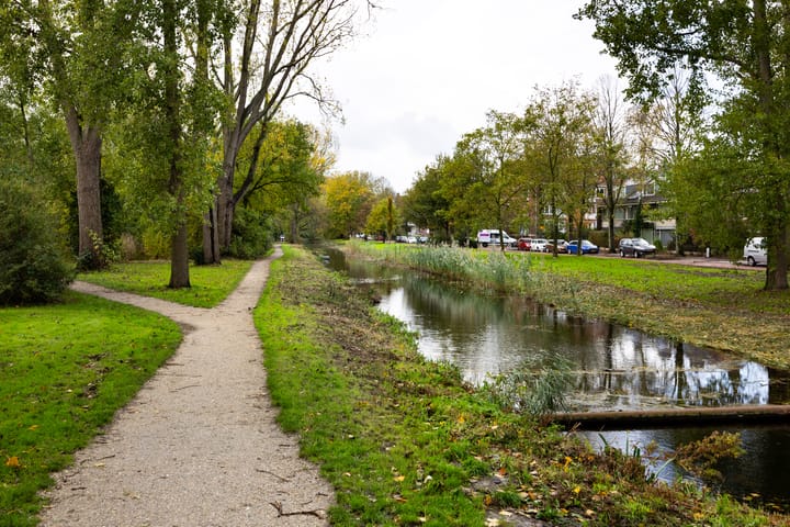 Foto 24 van Cosijnstraat 6