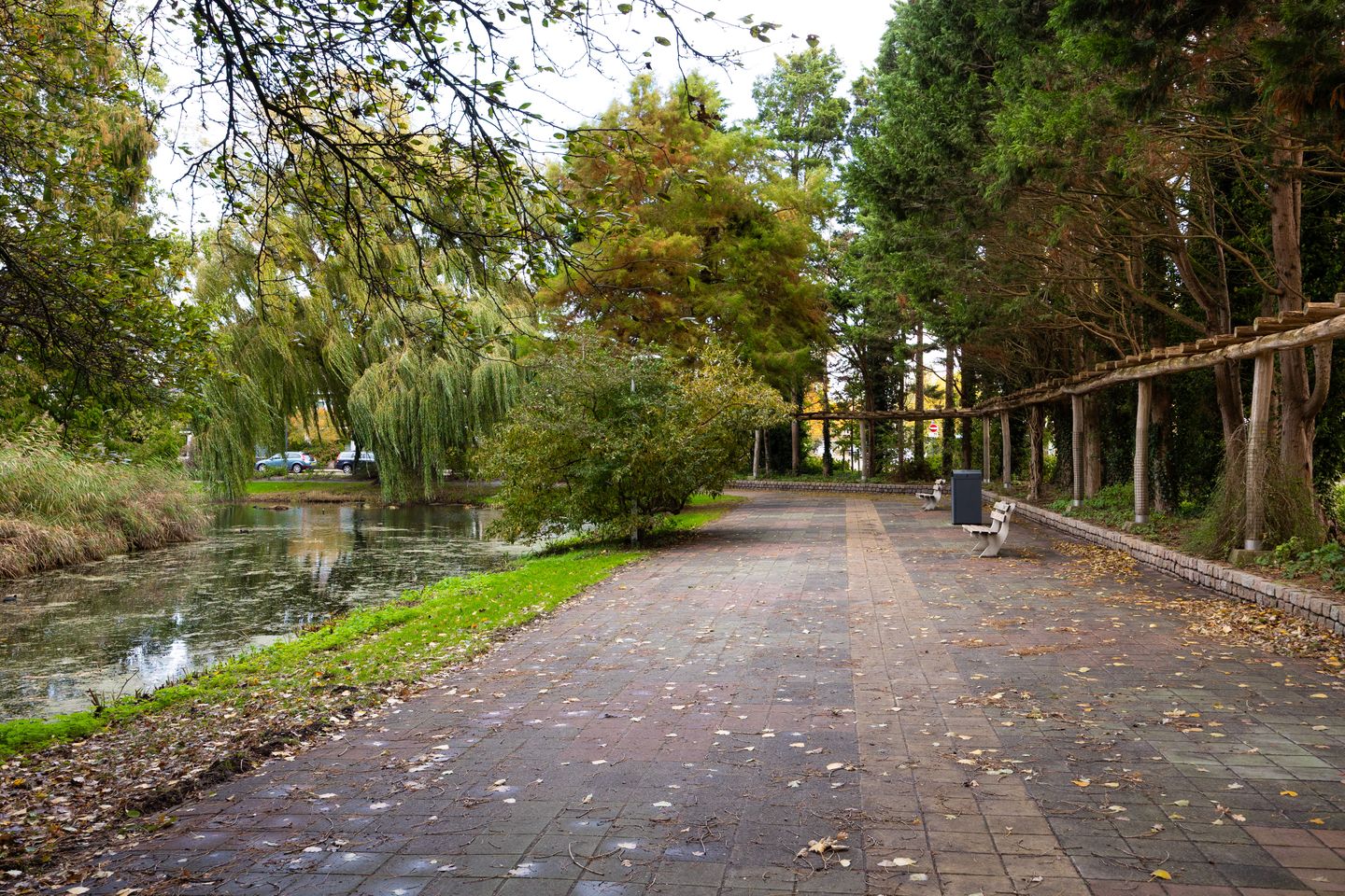 Foto 25 van Cosijnstraat 6