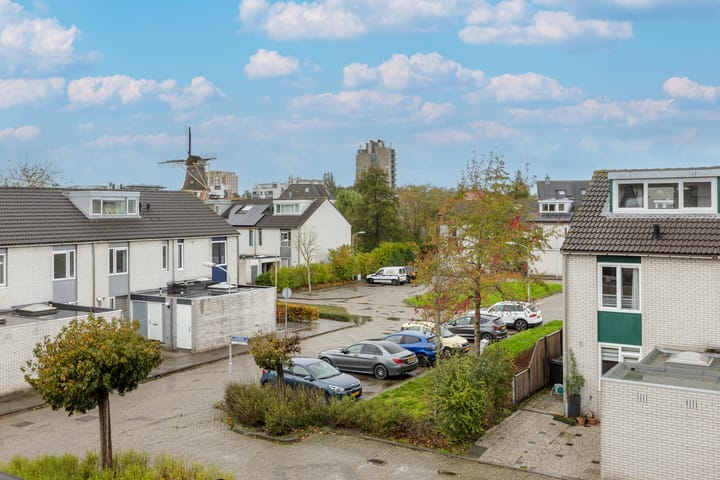 Photo 39 of de Zwaan 3