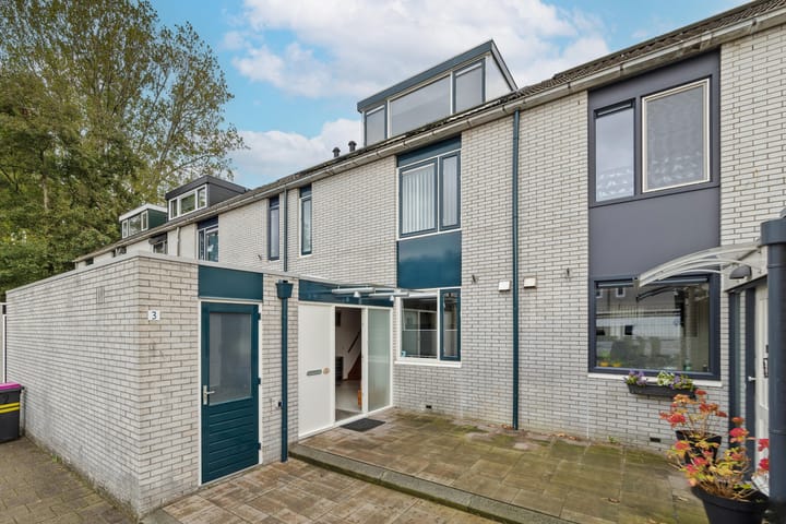 Photo 5 of de Zwaan 3