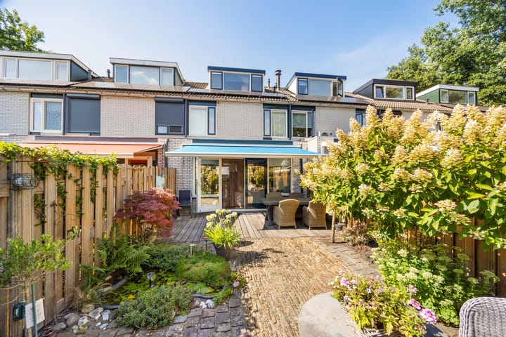 de Zwaan 3 main image