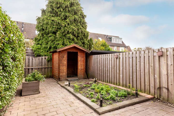 Foto 30 van Schoener 27 25