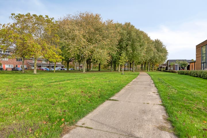 Foto 38 van Malevitsjpad 11