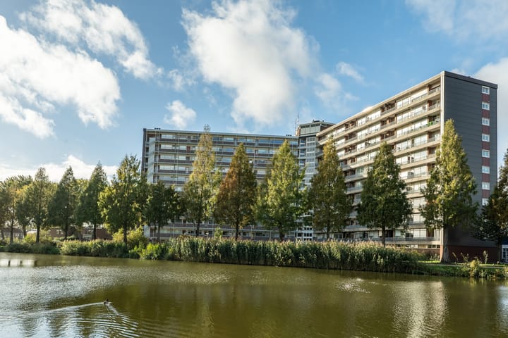 Foto 1 van Vrijheer van Eslaan 133