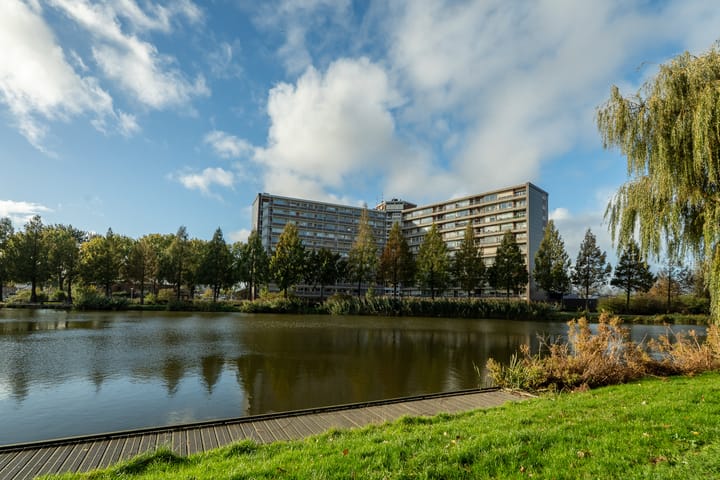 Foto 43 van Vrijheer van Eslaan 133