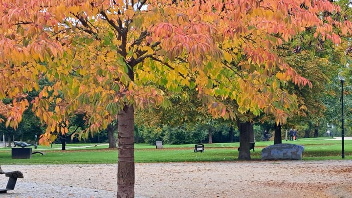 Foto 23 van Koningsweg 3