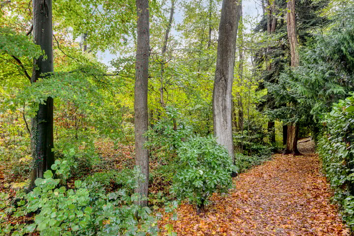 Photo 31 of Arnhemseweg 347