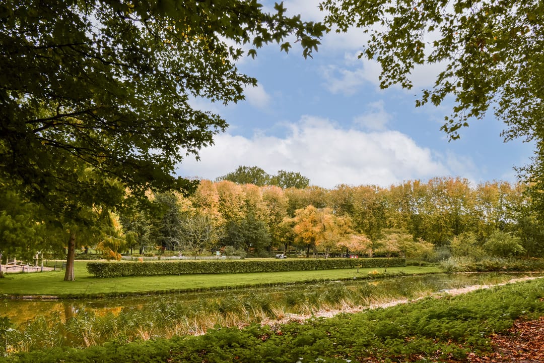 Foto 22 van Sanderijnstraat 54-1