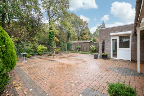 Heggerank 18 tertiary image