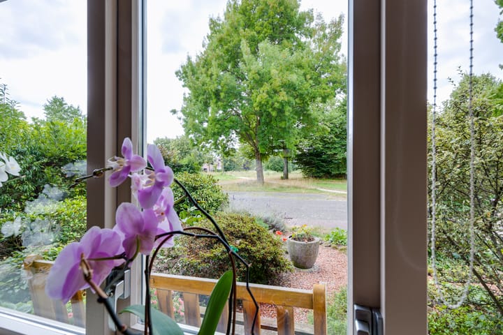 Photo 7 of Sleedoornstraat 57