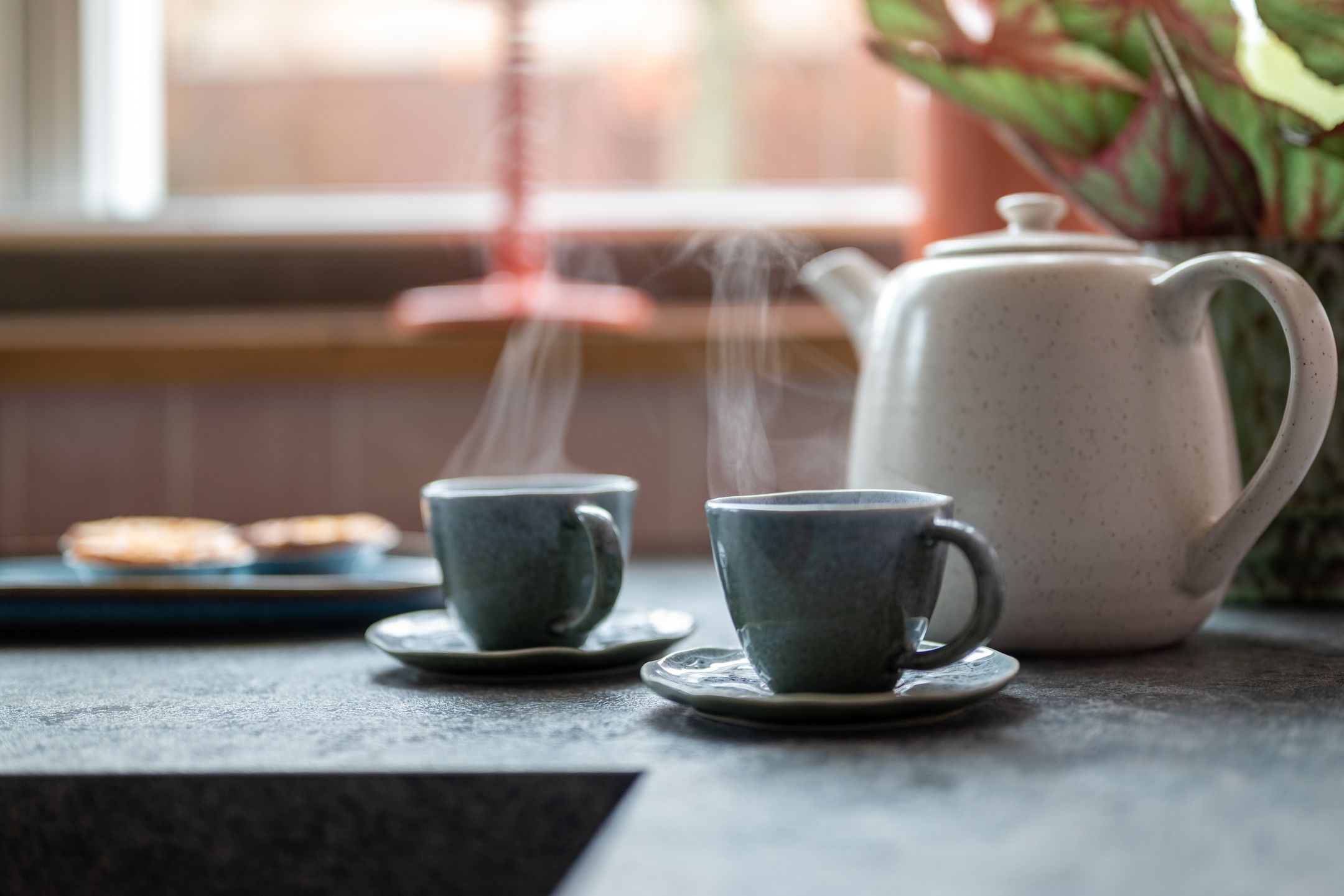 Foto 12 van Grutto 1