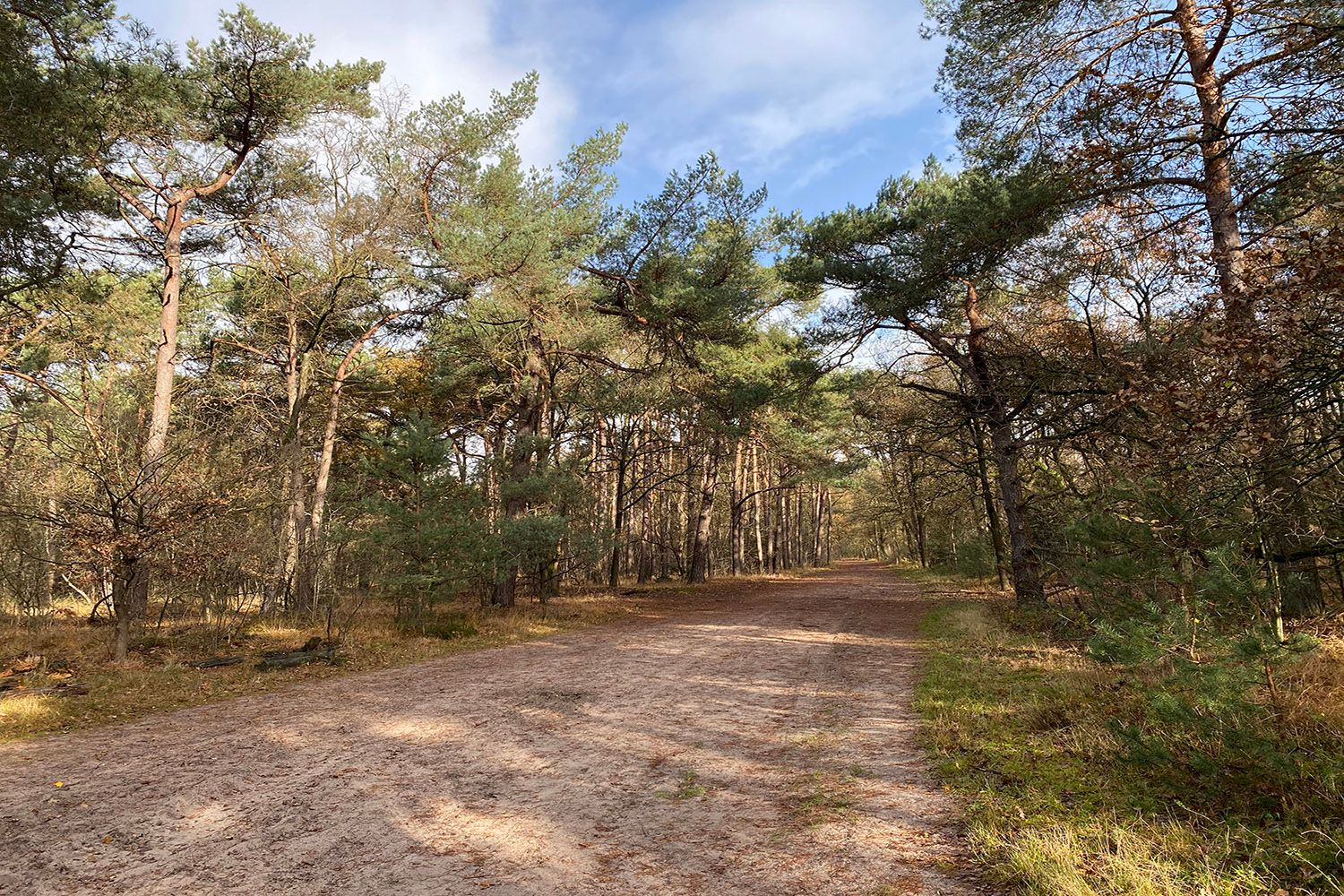 Foto 18 van Heiweg 20