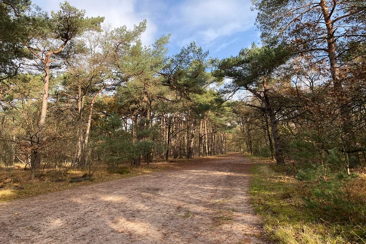 Foto 18 van Heiweg 20