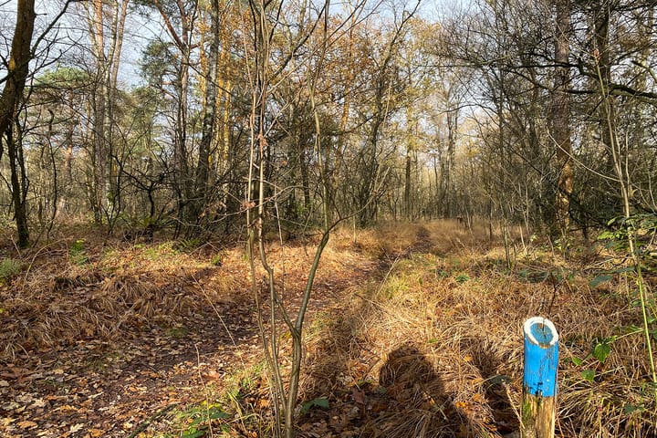 Foto 19 van Heiweg 20