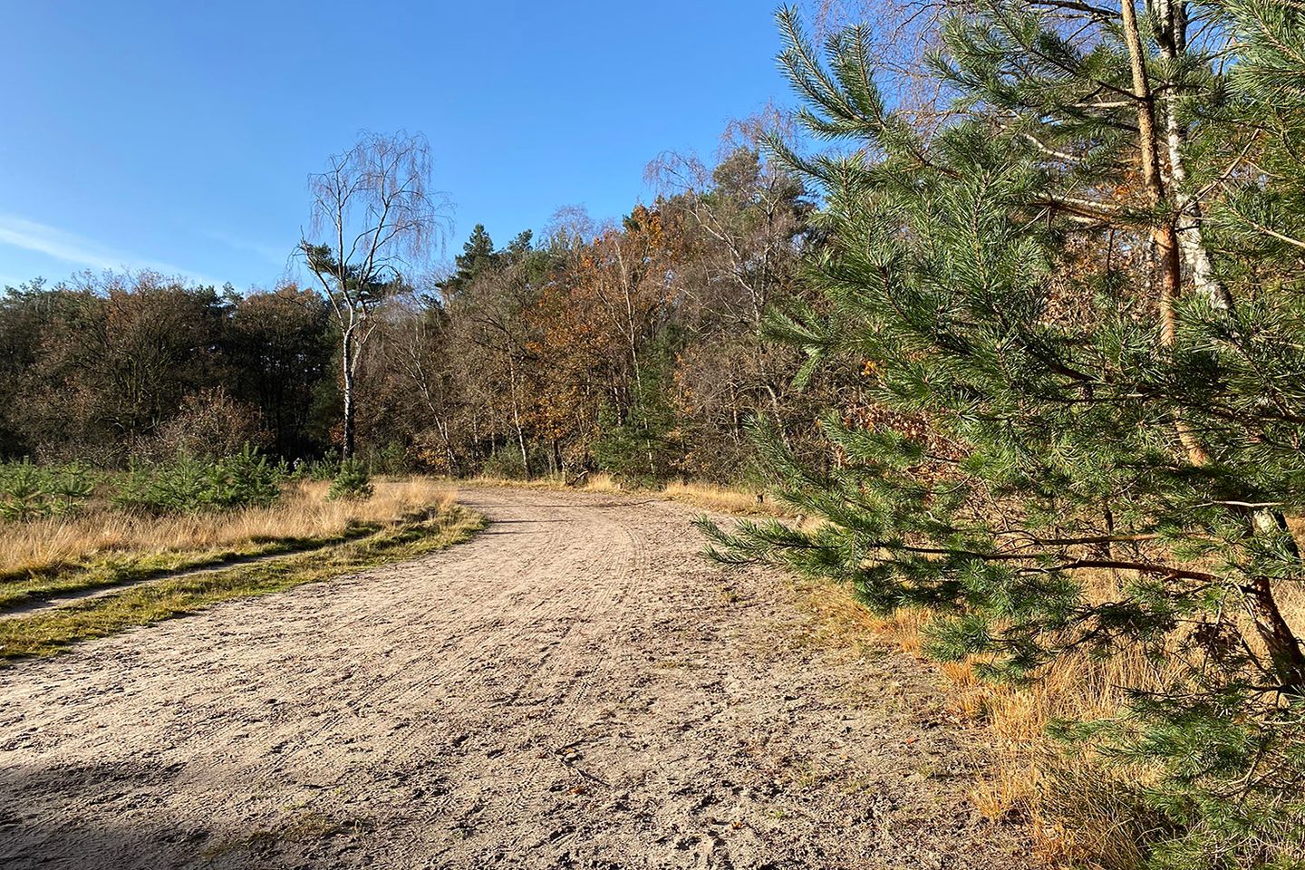 Foto 20 van Heiweg 20