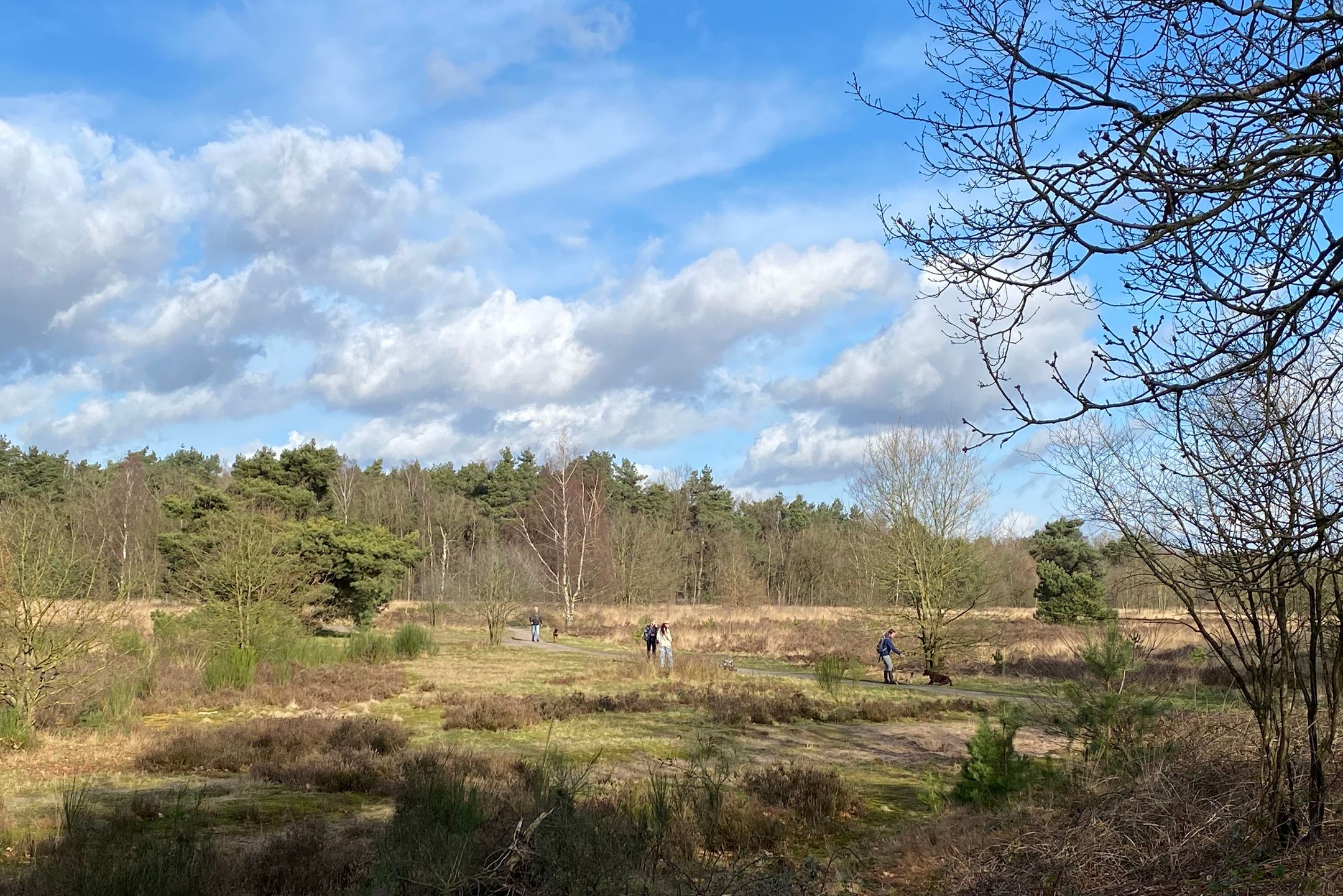 Foto 21 van Heiweg 20