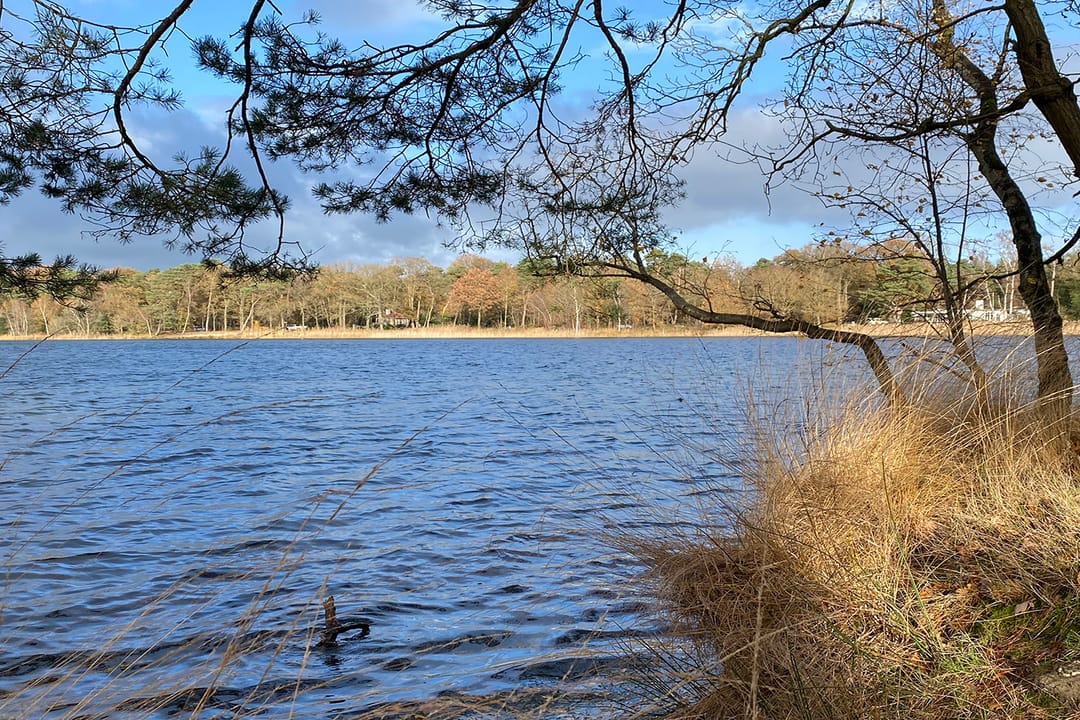 Foto 22 van Heiweg 20