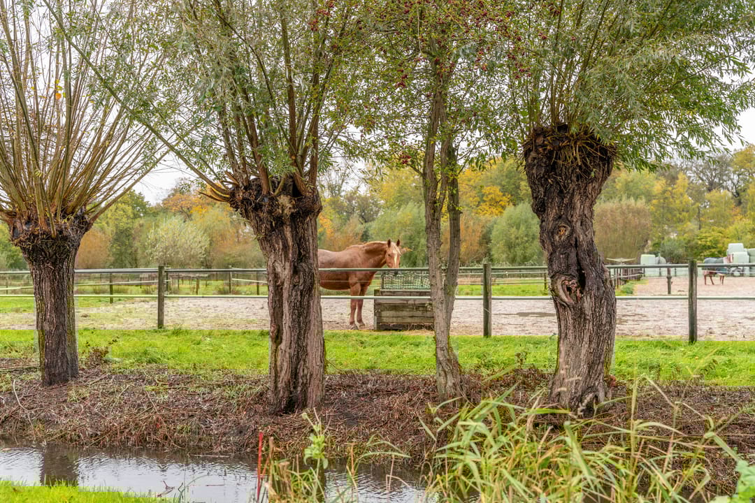 Photo 26 of Gerrit Achterbergstraat 17