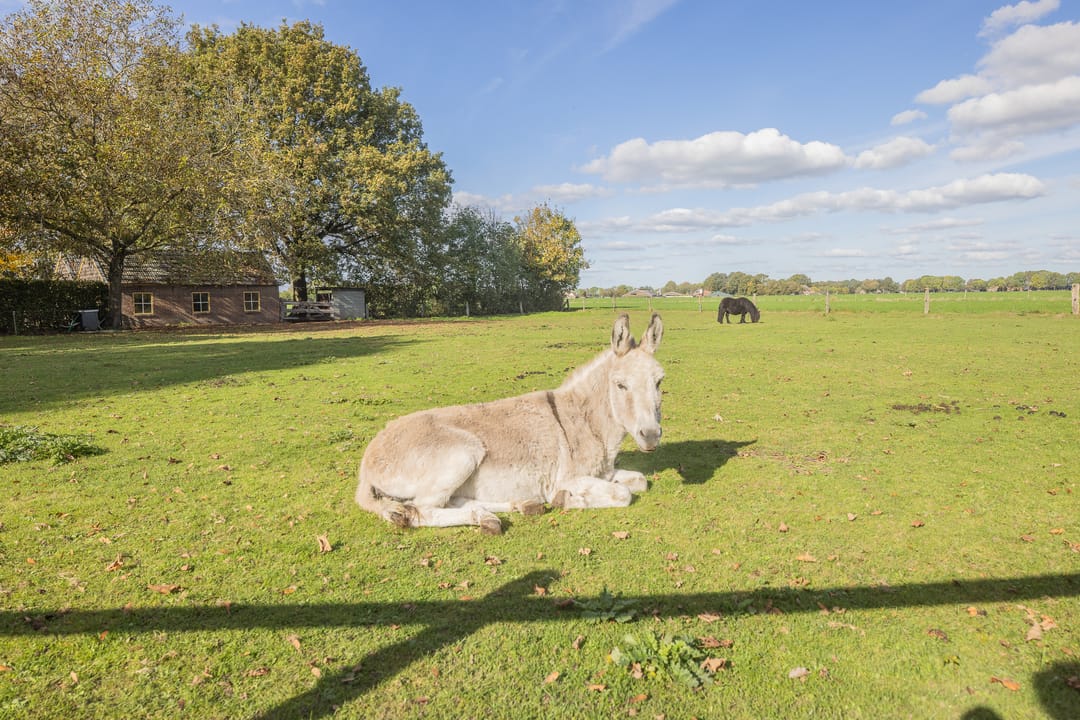Foto 56 van Kerkstraat 93