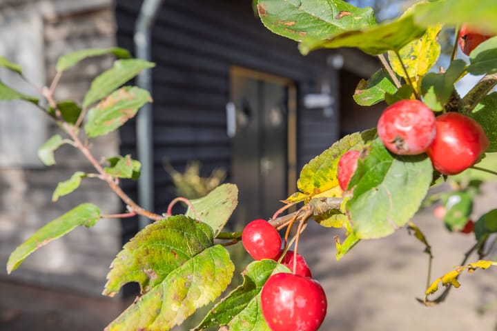 Photo 75 of Kerkstraat 93