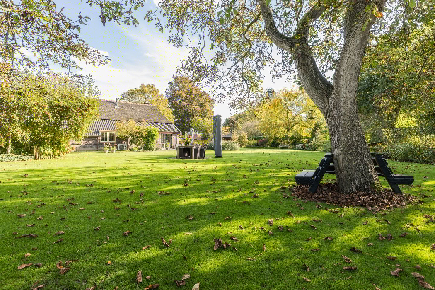 Foto 79 van Kerkstraat 93