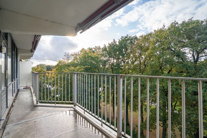 Foto 25 van Marthalaan 2-605