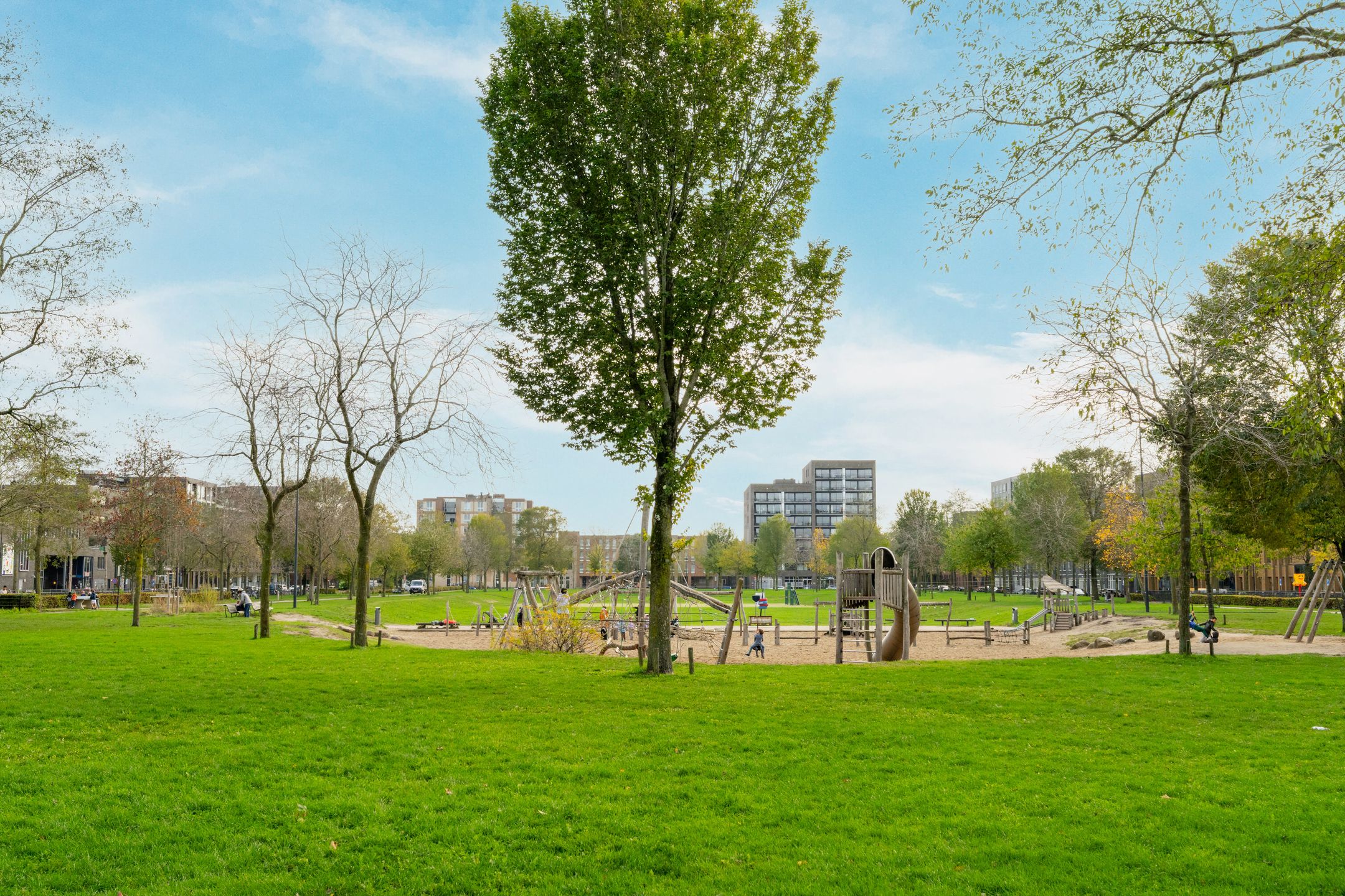 Photo 48 of Emmy Andriessestraat 4