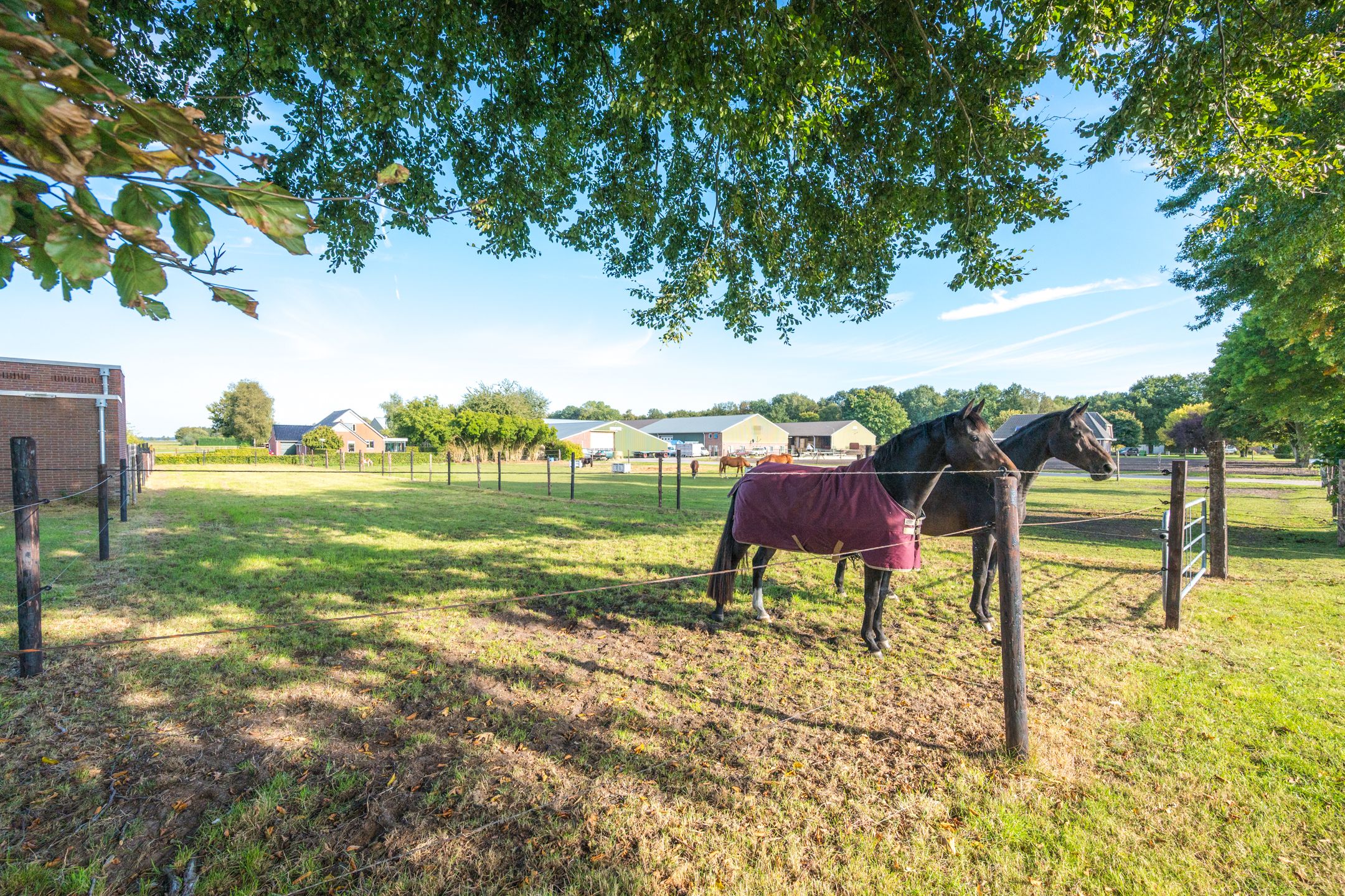 Photo 3 of Oude Schuttingkanaal OZ 4