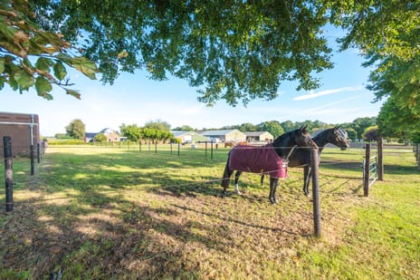 Oude Schuttingkanaal OZ 4 tertiary image