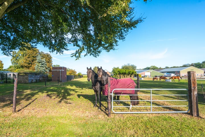 Photo 98 of Oude Schuttingkanaal OZ 4