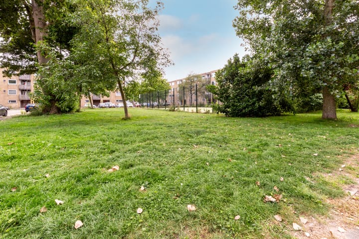 Photo 17 of Texelhof 45