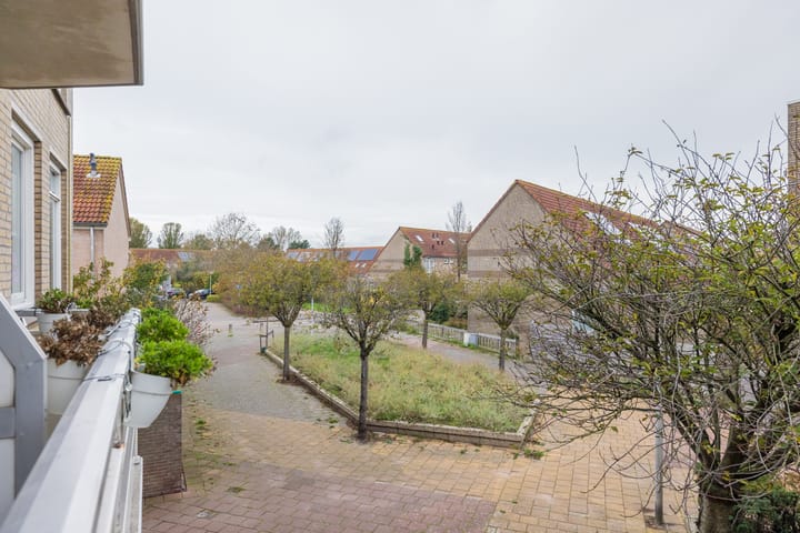 Foto 3 van Springtij 46