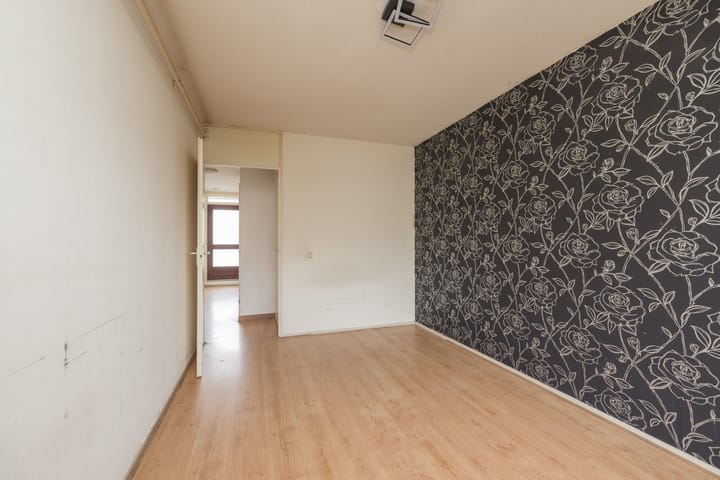 Foto 16 van Springtij 46