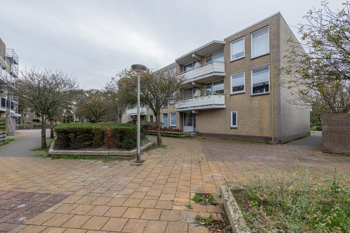 Foto 19 van Springtij 46