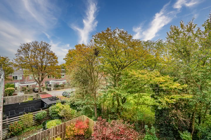 Foto 17 van Bolderikkamp 39