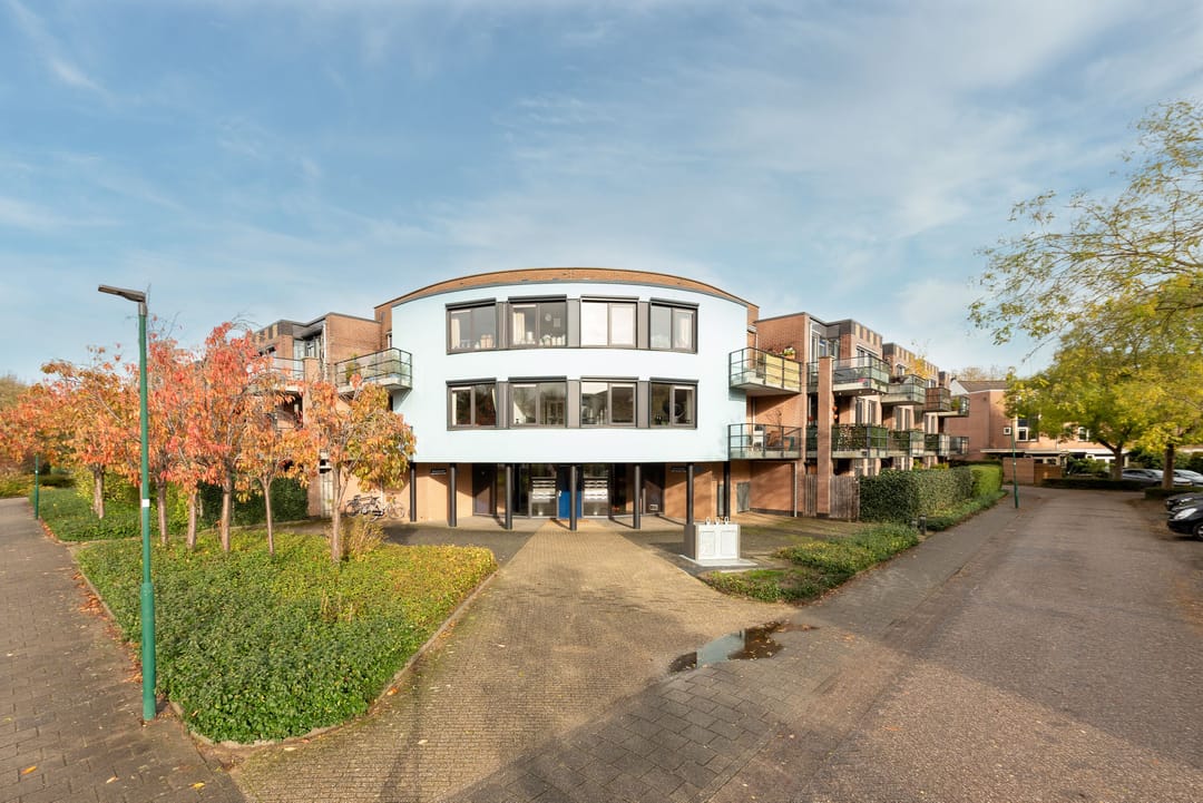 Photo 2 of Aalscholver 7