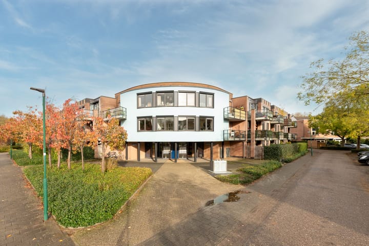 Foto 2 van Aalscholver 7